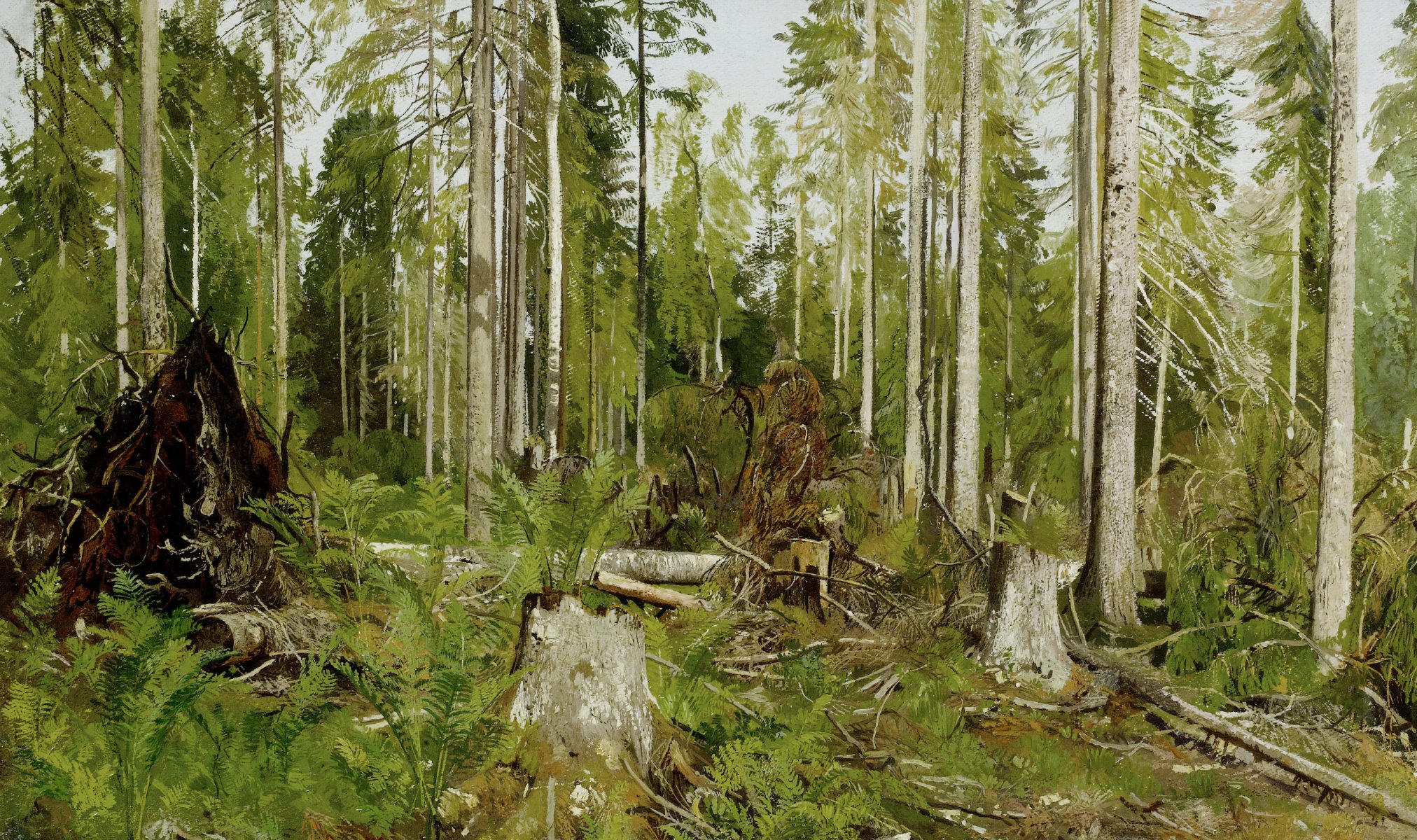 shishkin kiefernwald bäume dickicht malerei malerei