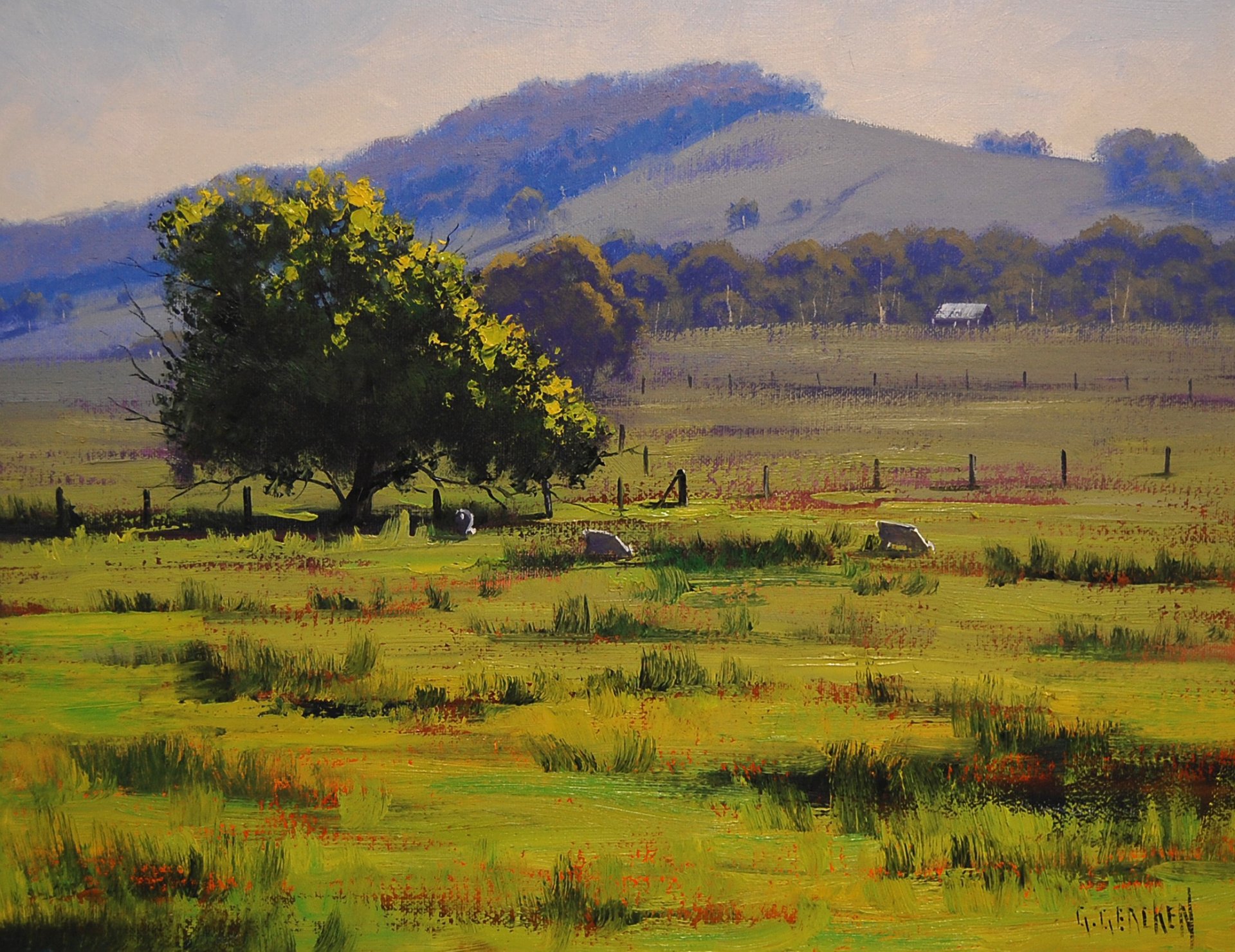 art picture tree hunter valley landscape artsau