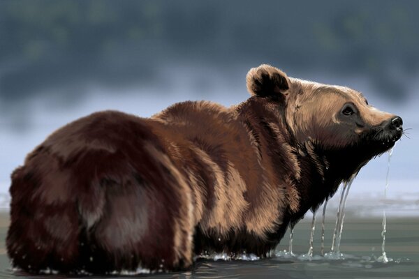 Drawing of a brown bear in the river