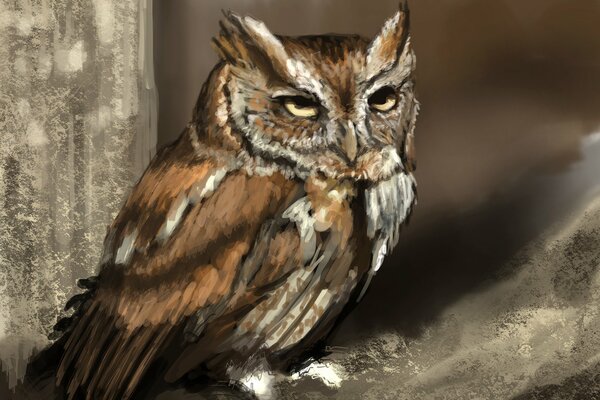 Art drawing of an owl