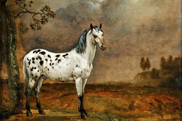 Oil painting spotted horse