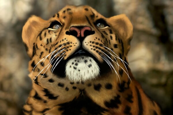 Leopardo. Arte Arte. Gatto predatore