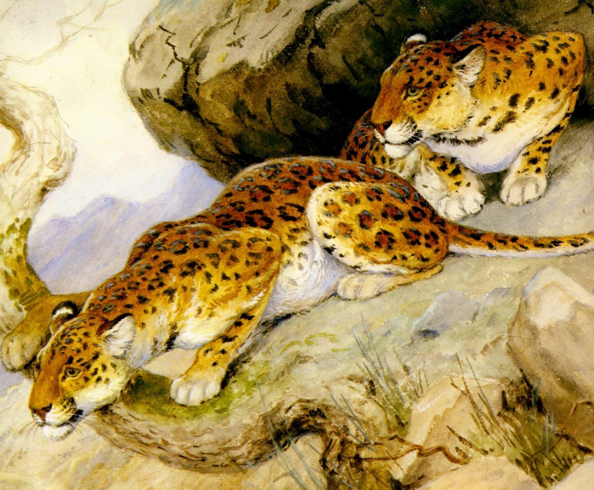 georges-frédéric rotig kunst malerei leoparden raubtiere