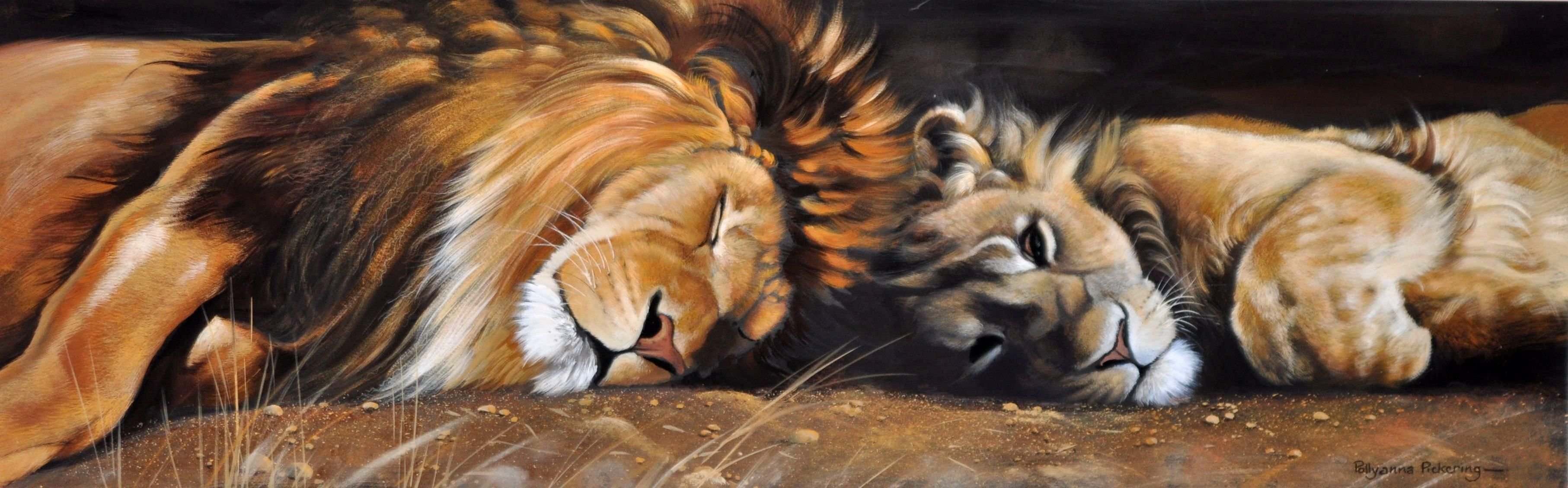 peinture art pollyanna pickering lion lionne crinière animaux chats sauvage prédateurs sommeil