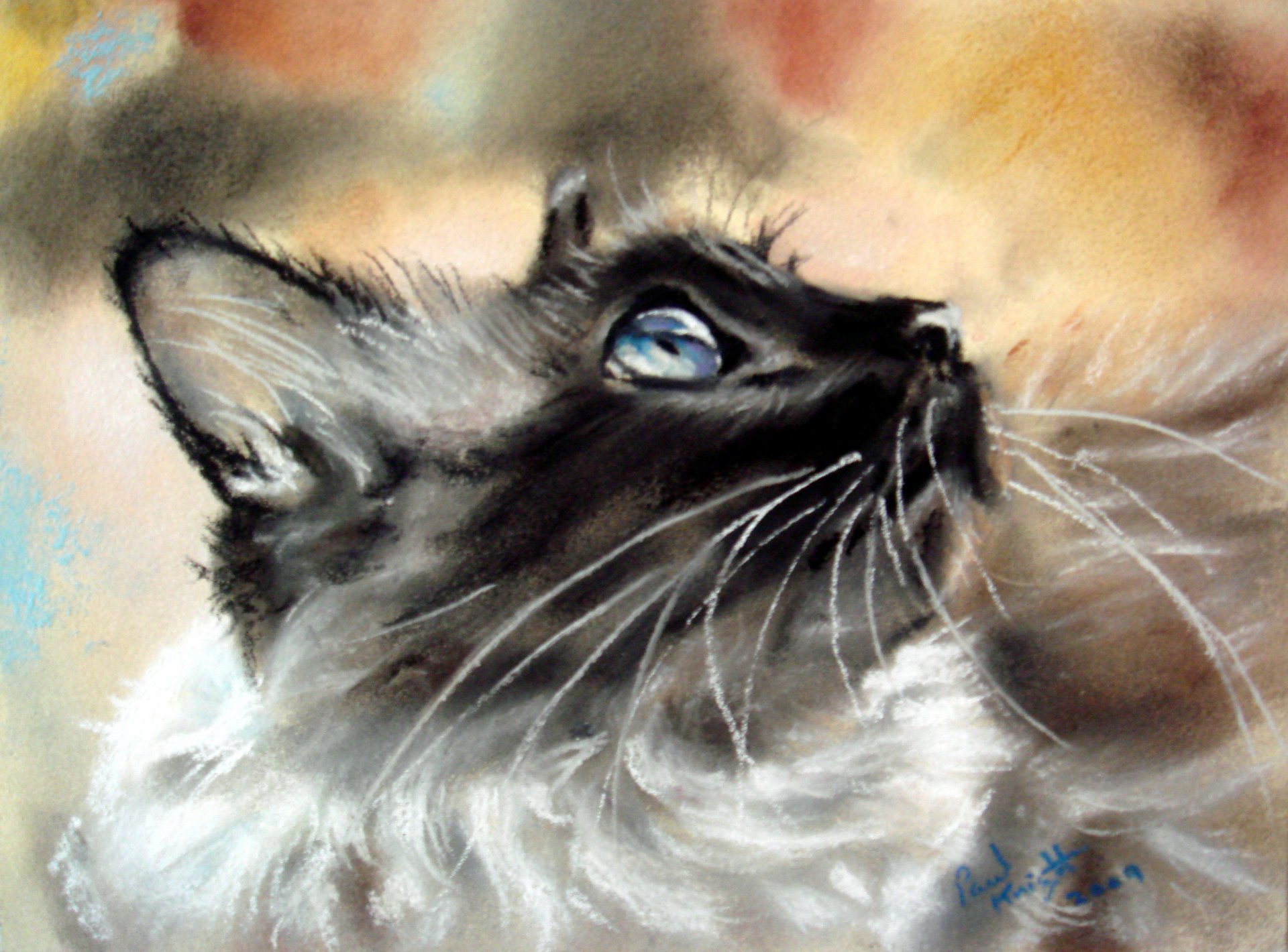 pintura gato siamés animal mirada perfil orejas bigote hocico fondo