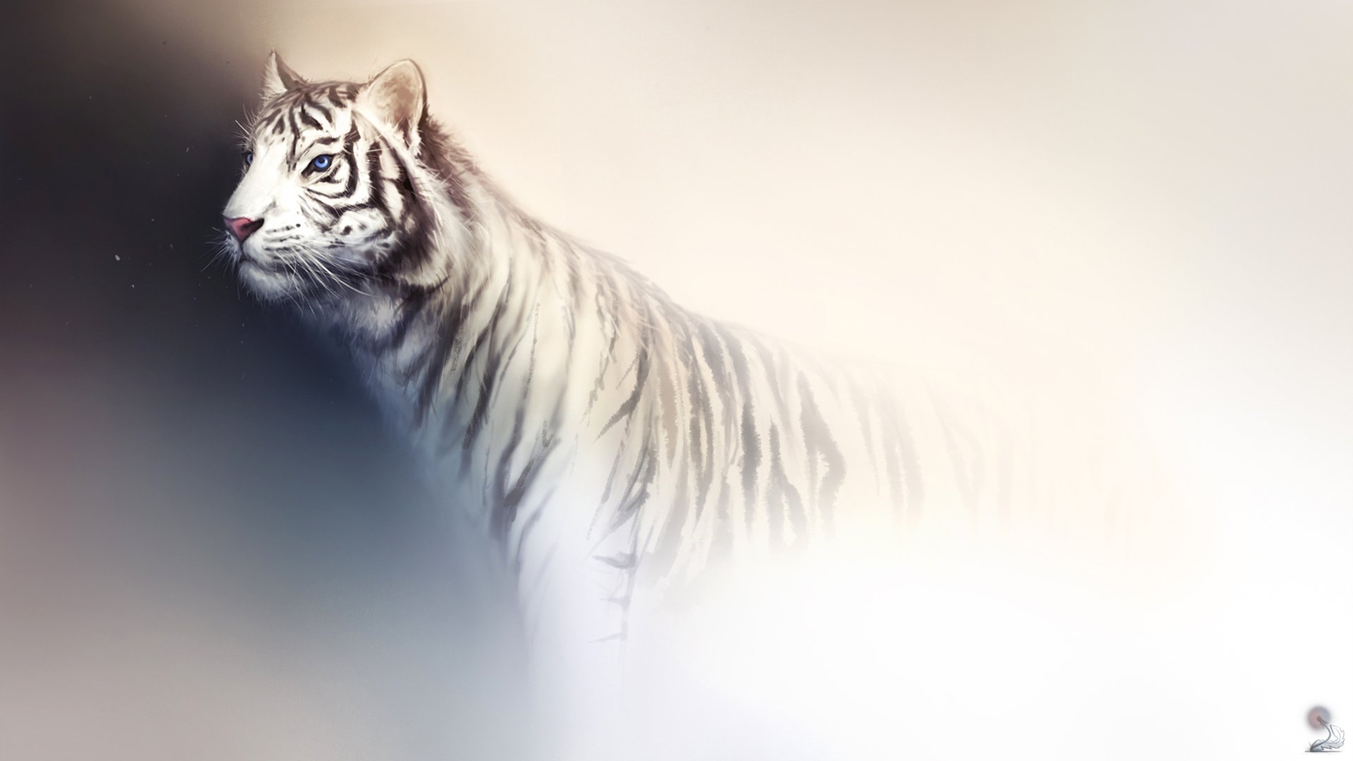 kunst tiger weiß licht hintergrund raubtier wildkatze