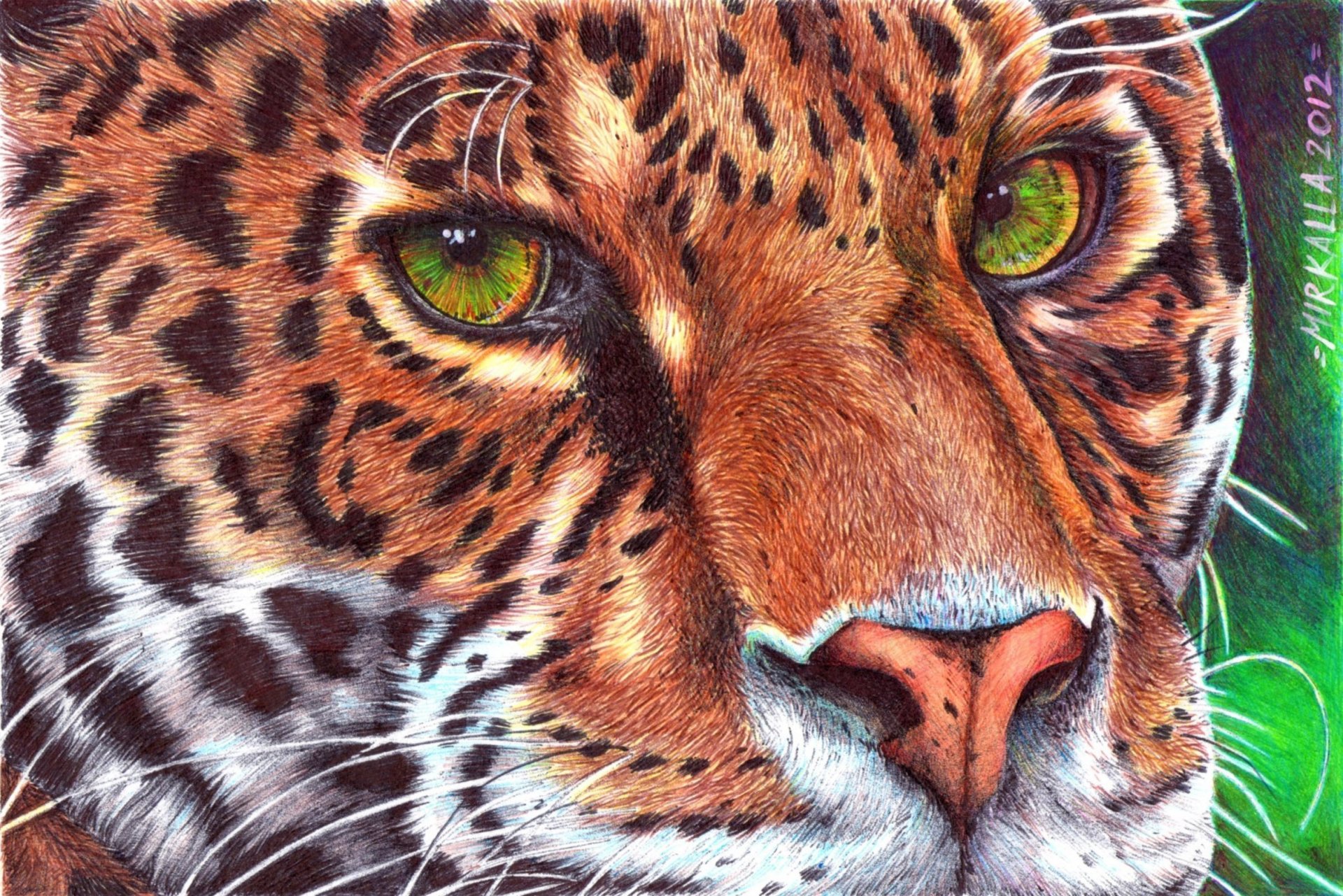 painting animals predator leopard face view green eyes mustache