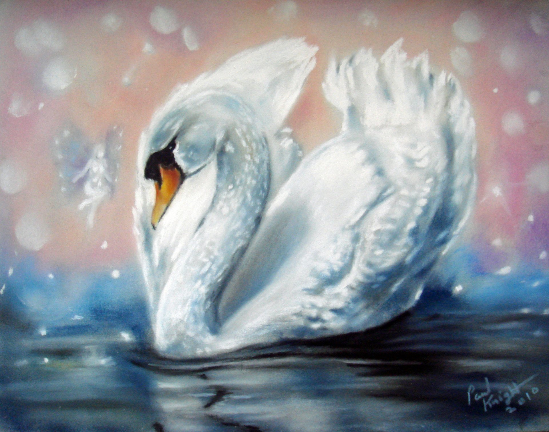 painting swan white wings water fairy