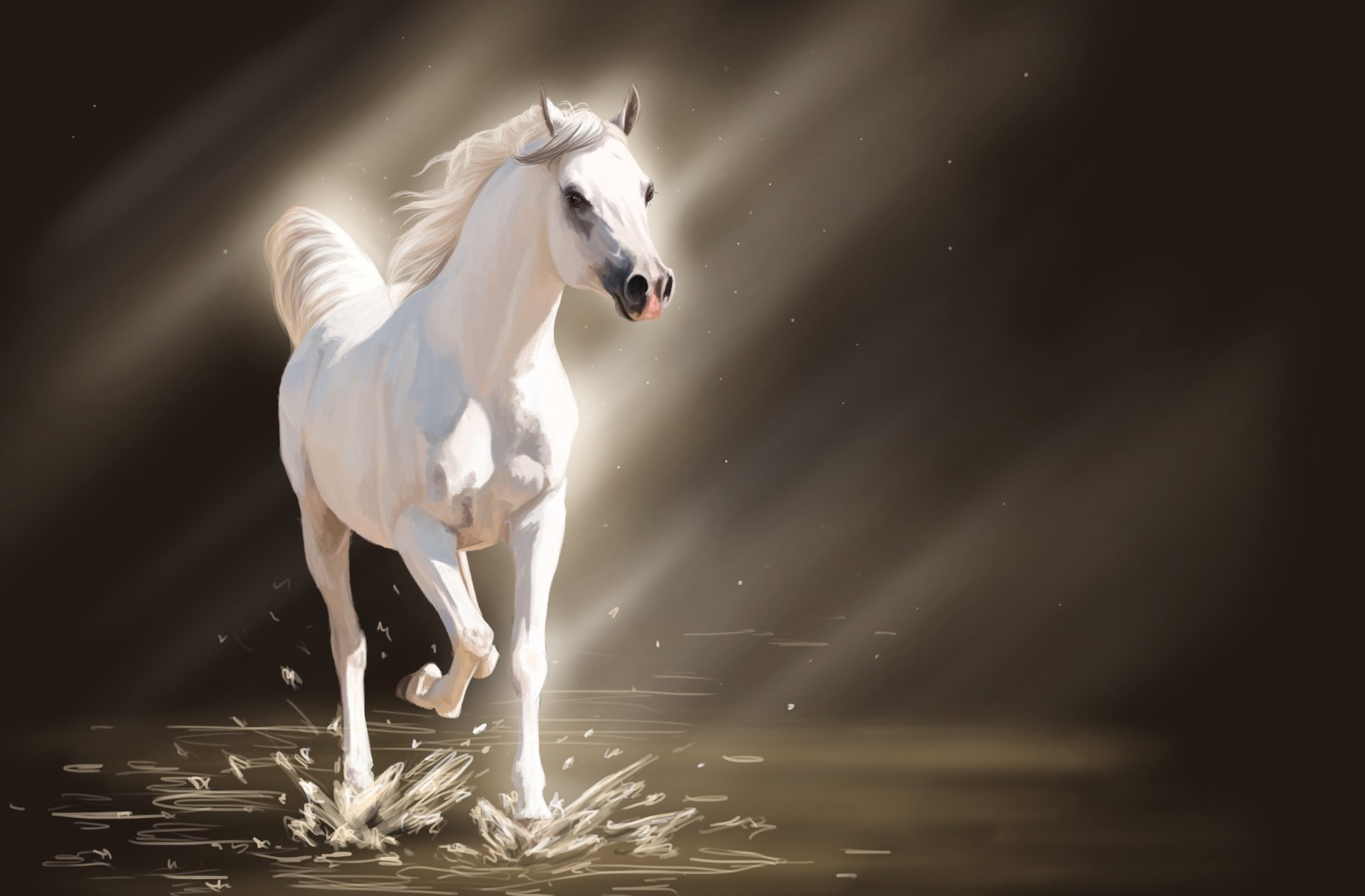 arte cavallo cavallo bianco acqua spruzzi luce raggi del sole