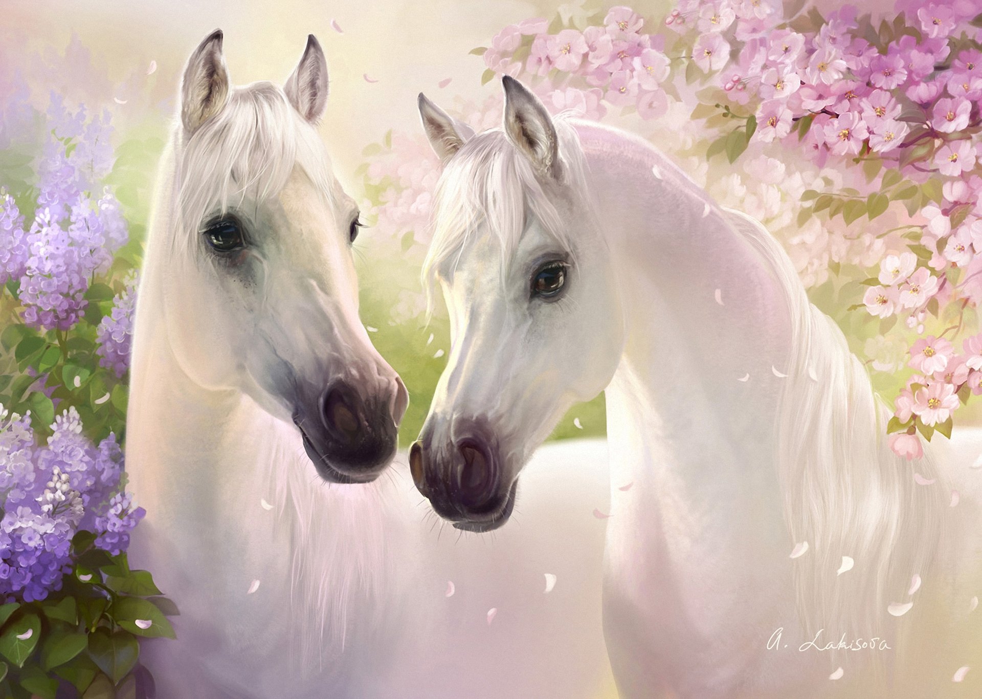 art horses the pair white flower lilac cherry petals spring