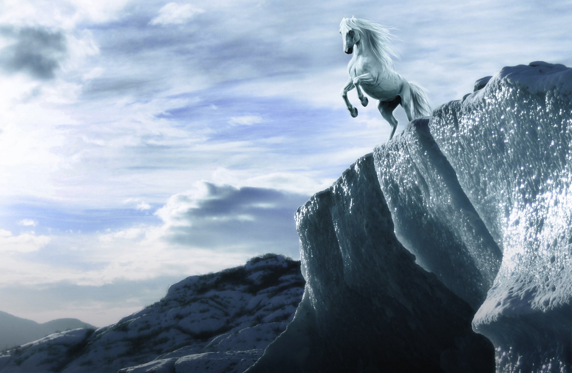 arte caballo blanco melena mirada pezuñas roca altura cielo nubes