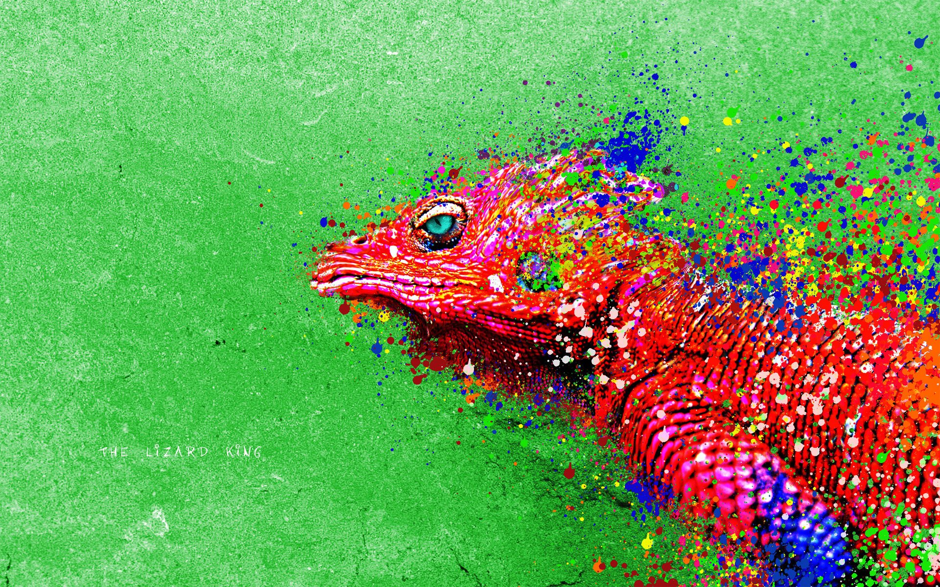 reptil lagarto iguana pintura colores brillo