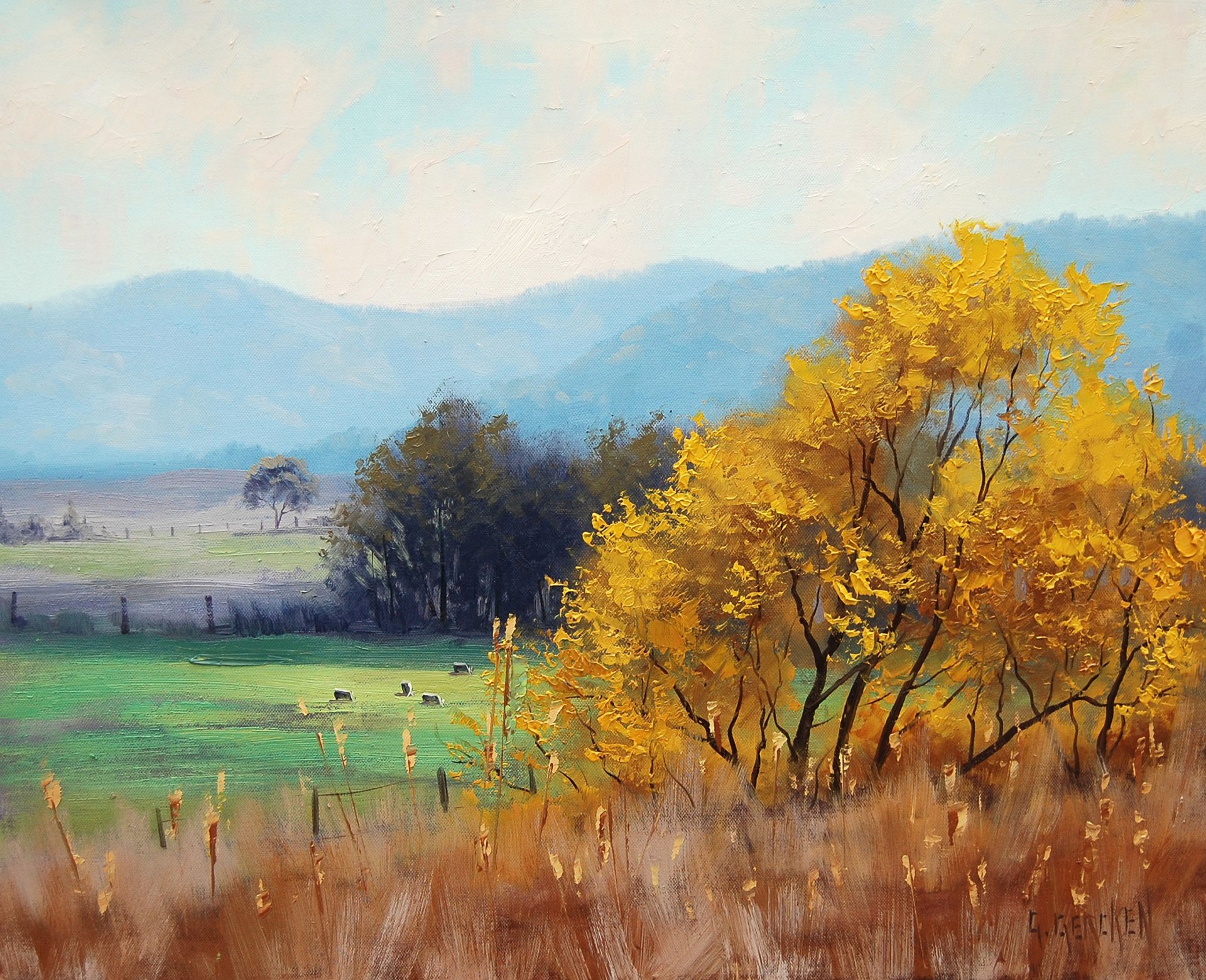 art picture artsaus rural bathurst australia