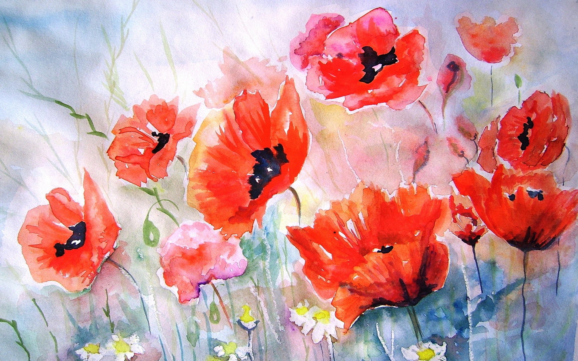 poppies pattern watercolor