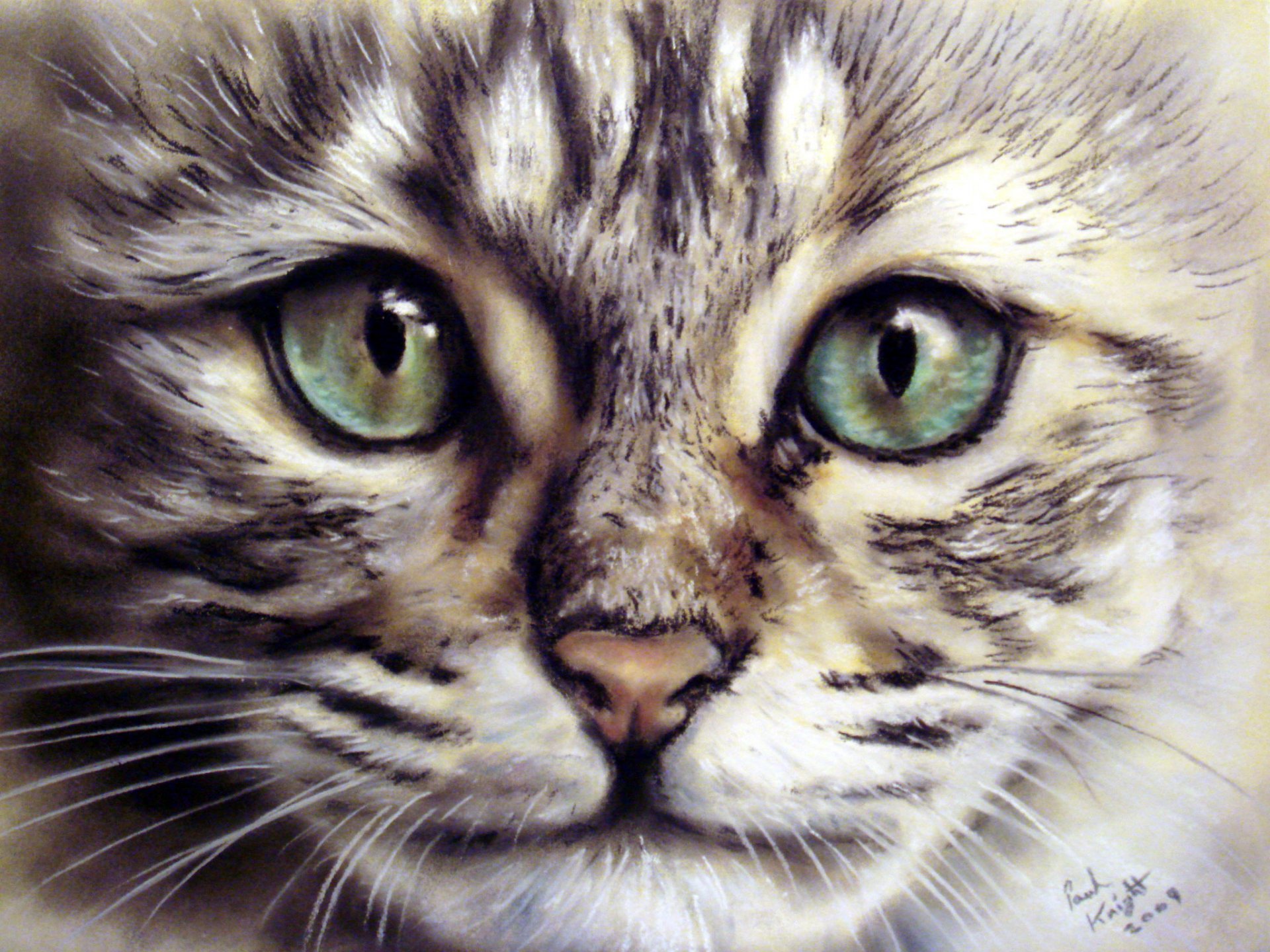 peinture chat museau regard moustache animal