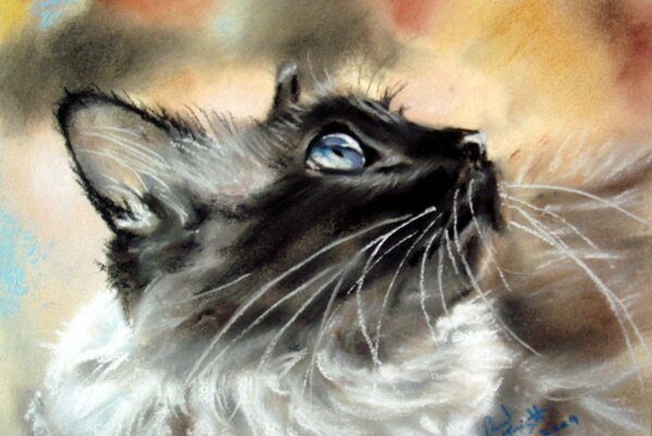 Peinture avec un chat siamois