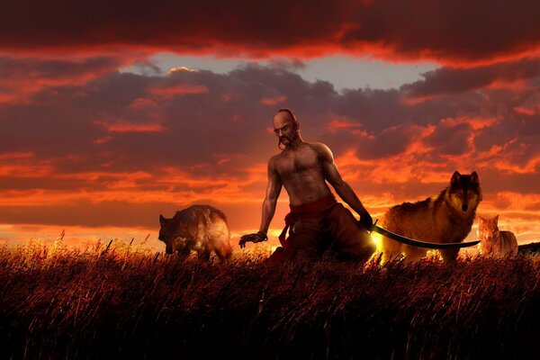 Cossack with wolves at sunset