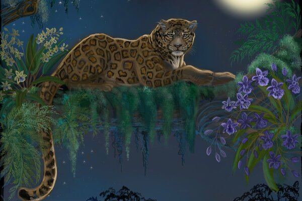 Leopardo su un albero alla luce della Luna