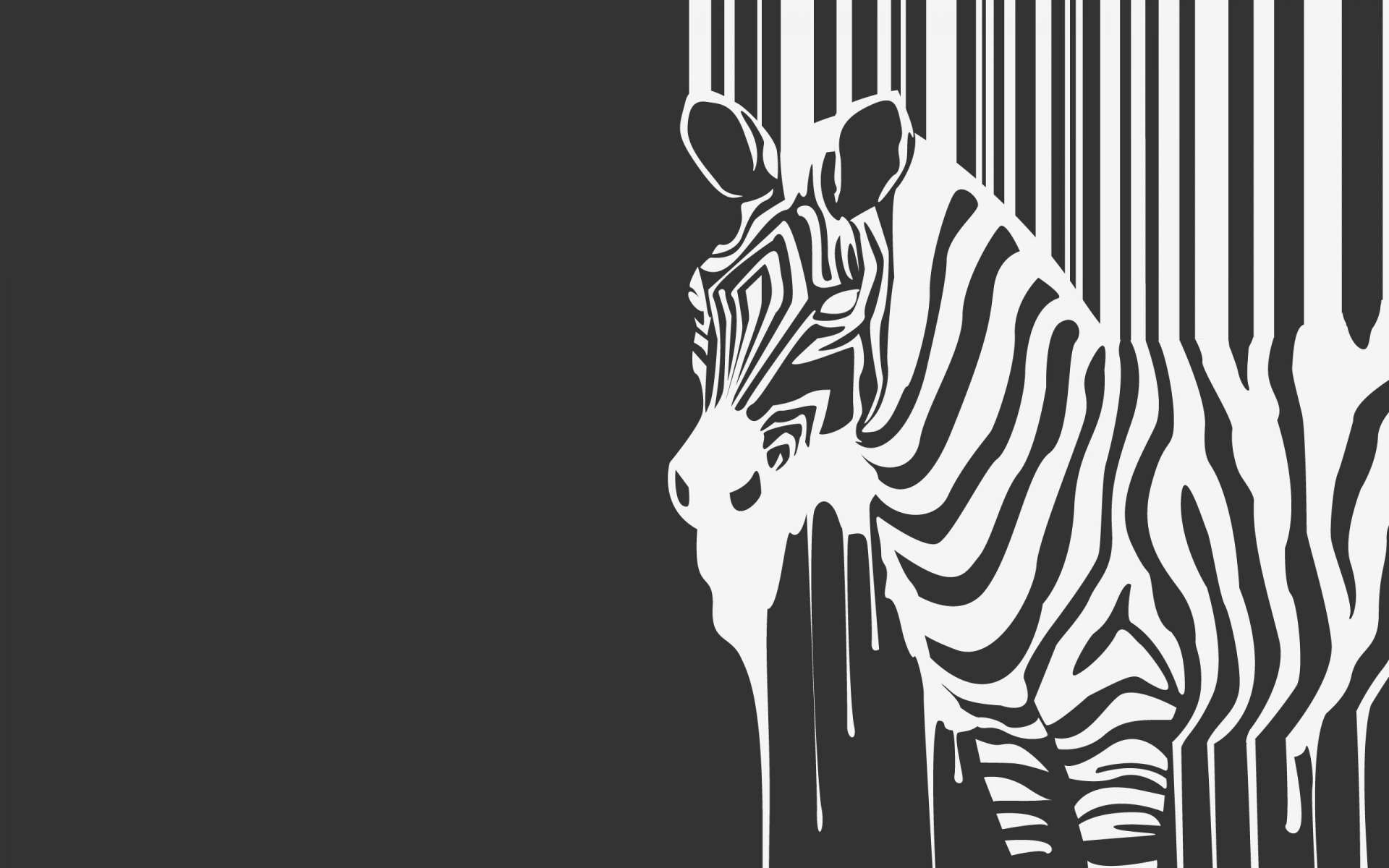 zebra b / n che scorre bestia strisce