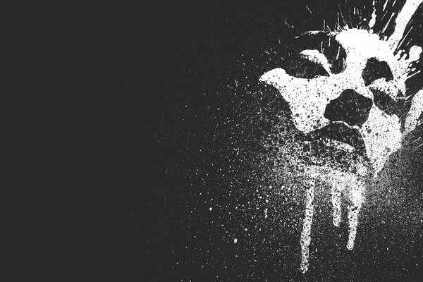 Girl s face on a black background with splashes