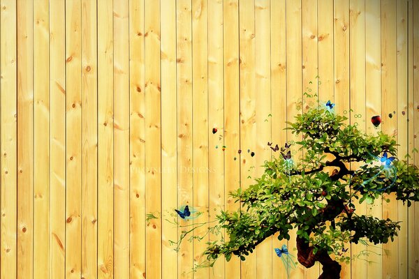 Immagine di un albero ramificato con farfalle sul recinto