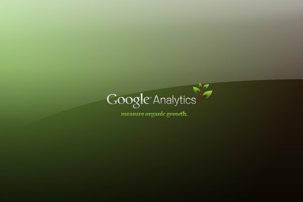 Iscrizione verde di Google analytics