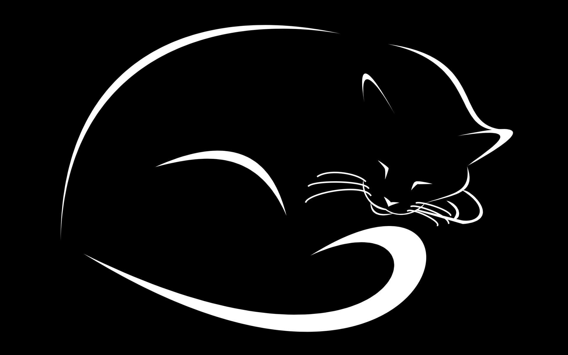 sfondo nero gatto disegno