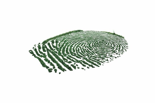 Grass growing in the form of a fingerprint