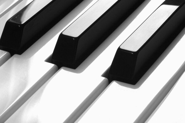 Bella combinazione di tasti di pianoforte bianco e nero