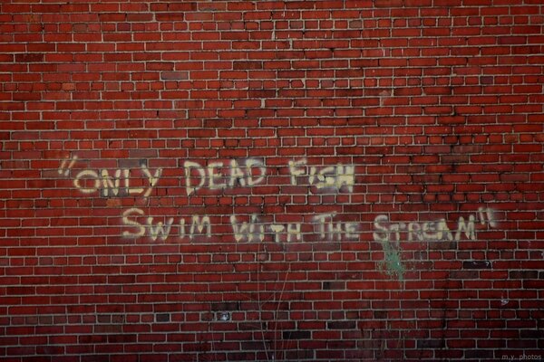 An inscription on a red brick wall about a dead fish