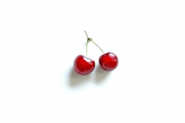 On a bright white background, the image of juicy cherries