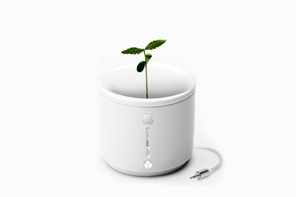 Brote en una taza blanca de apple