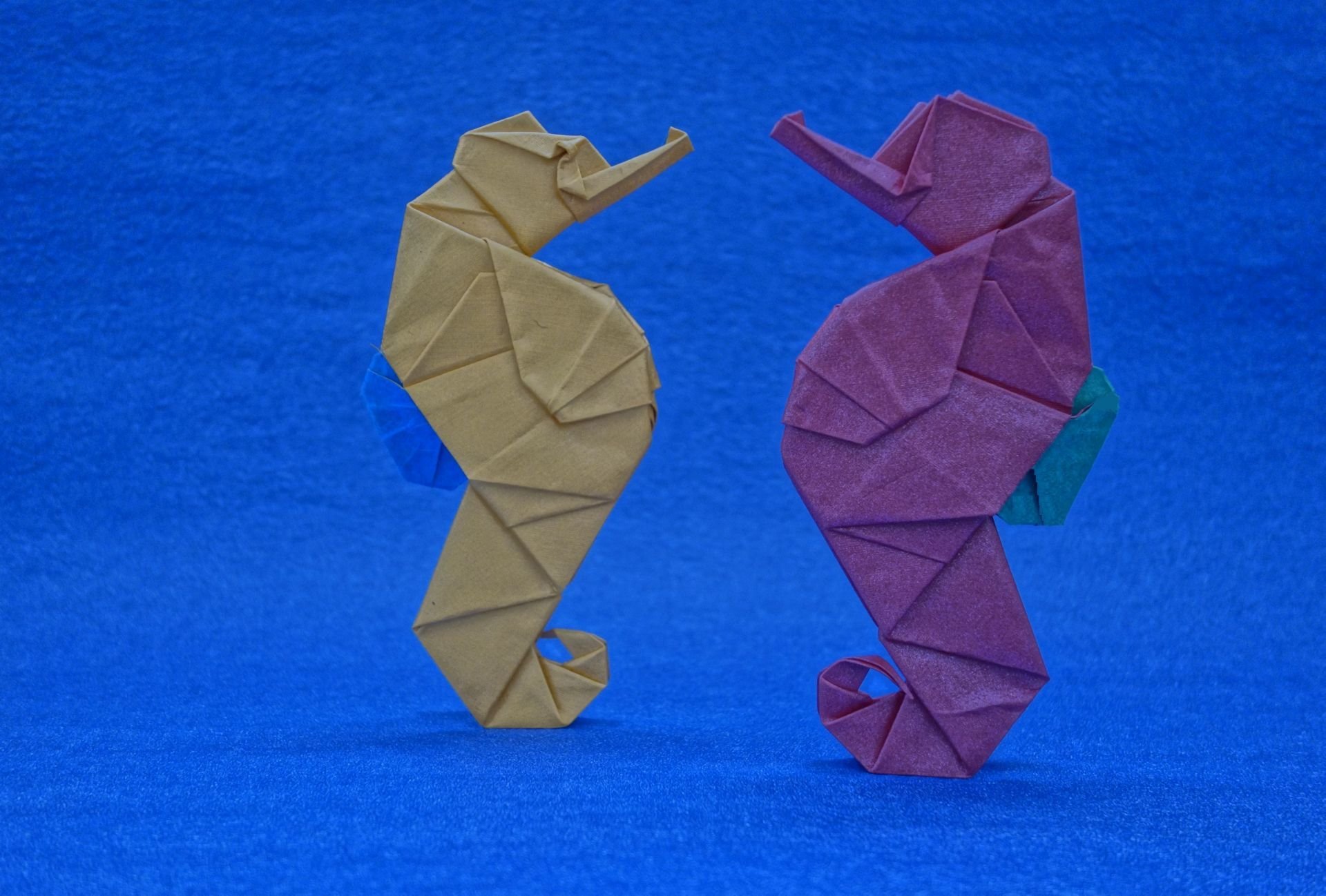 origami papier hippocampes fond