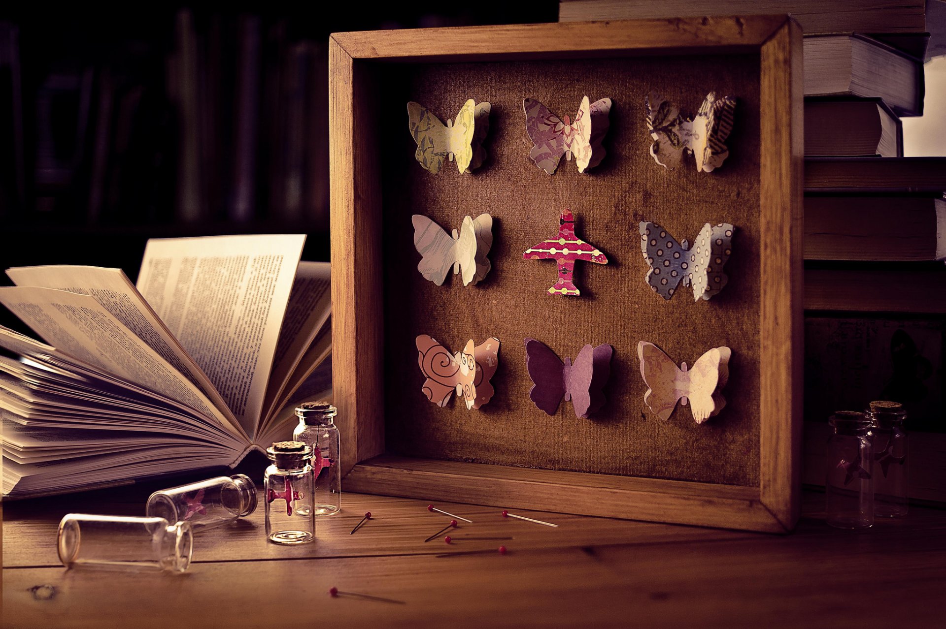 books butterfly frame needle pins bubbles bottle