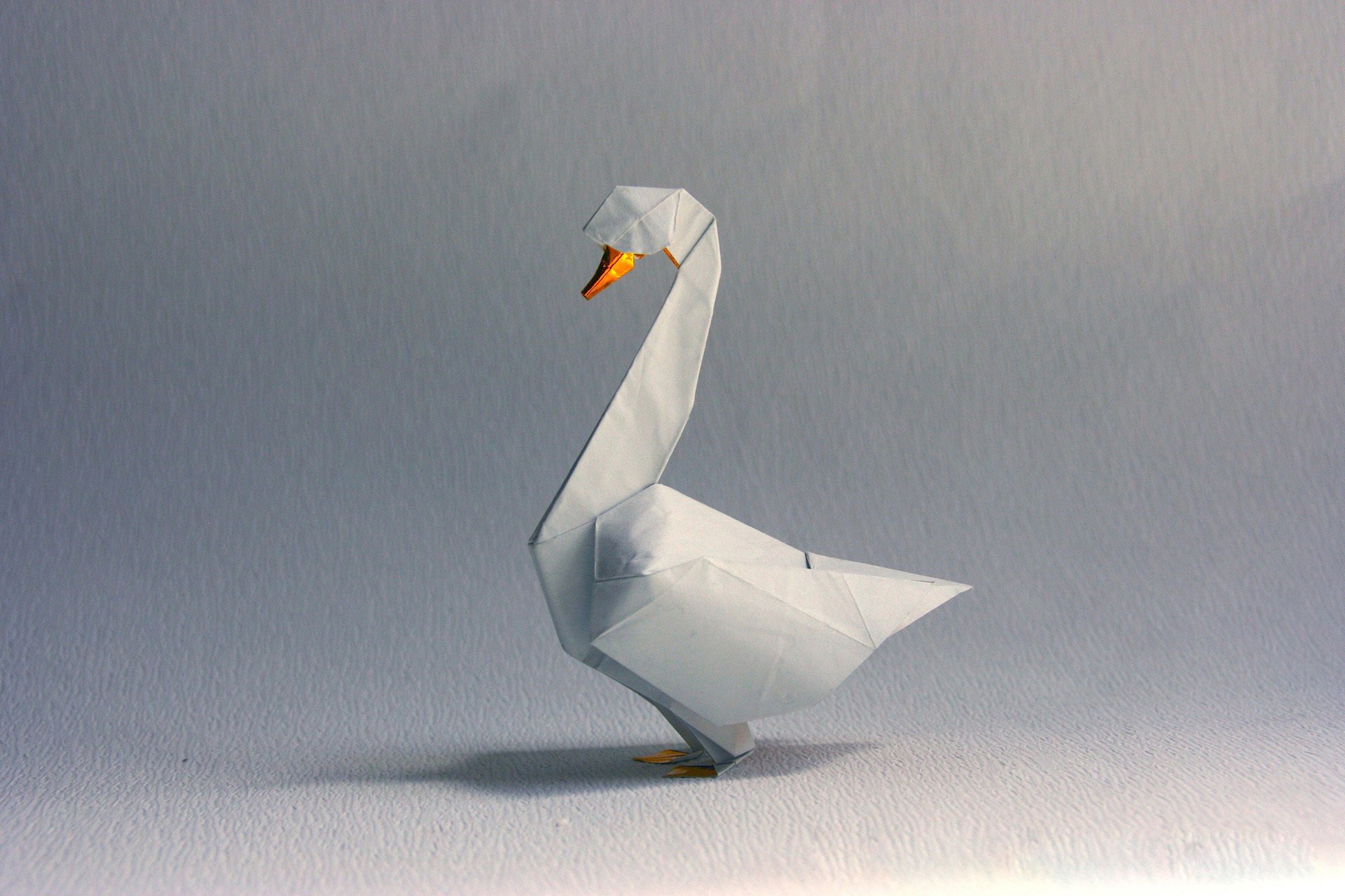 origami łabędź biały cień szary