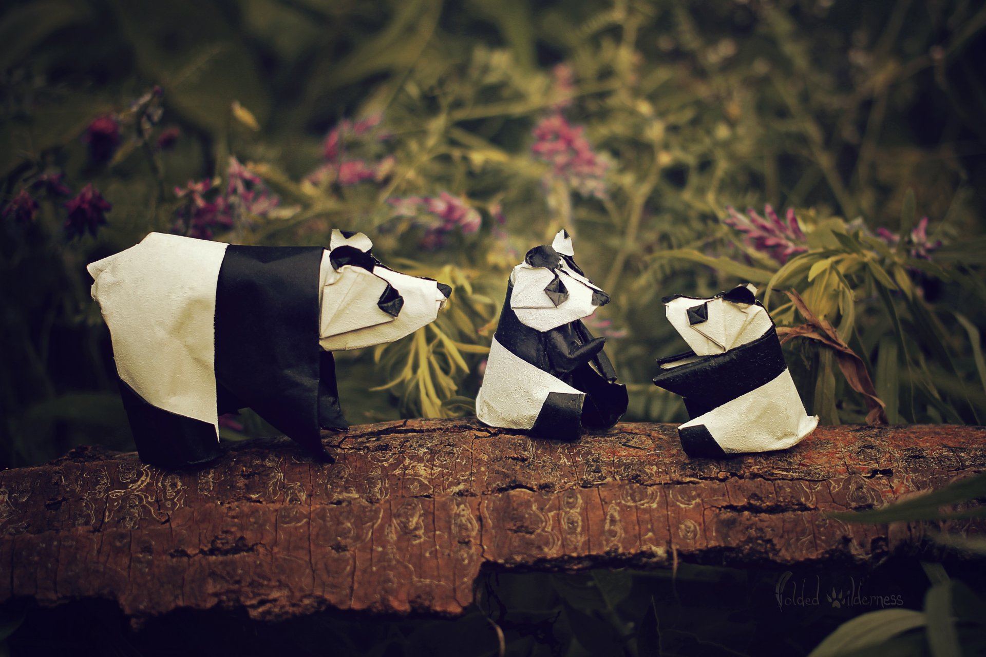 origami panda famiglia panda fiori ramo