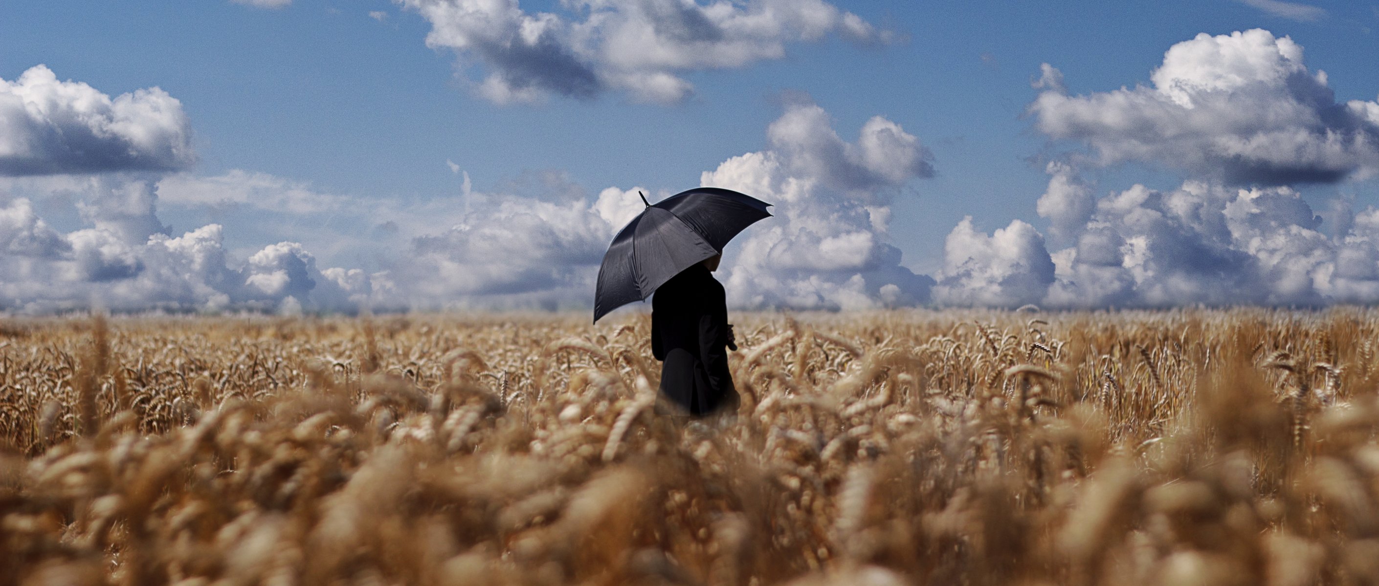 feld mann regenschirm weizenfeld wolkenhorizont himmel