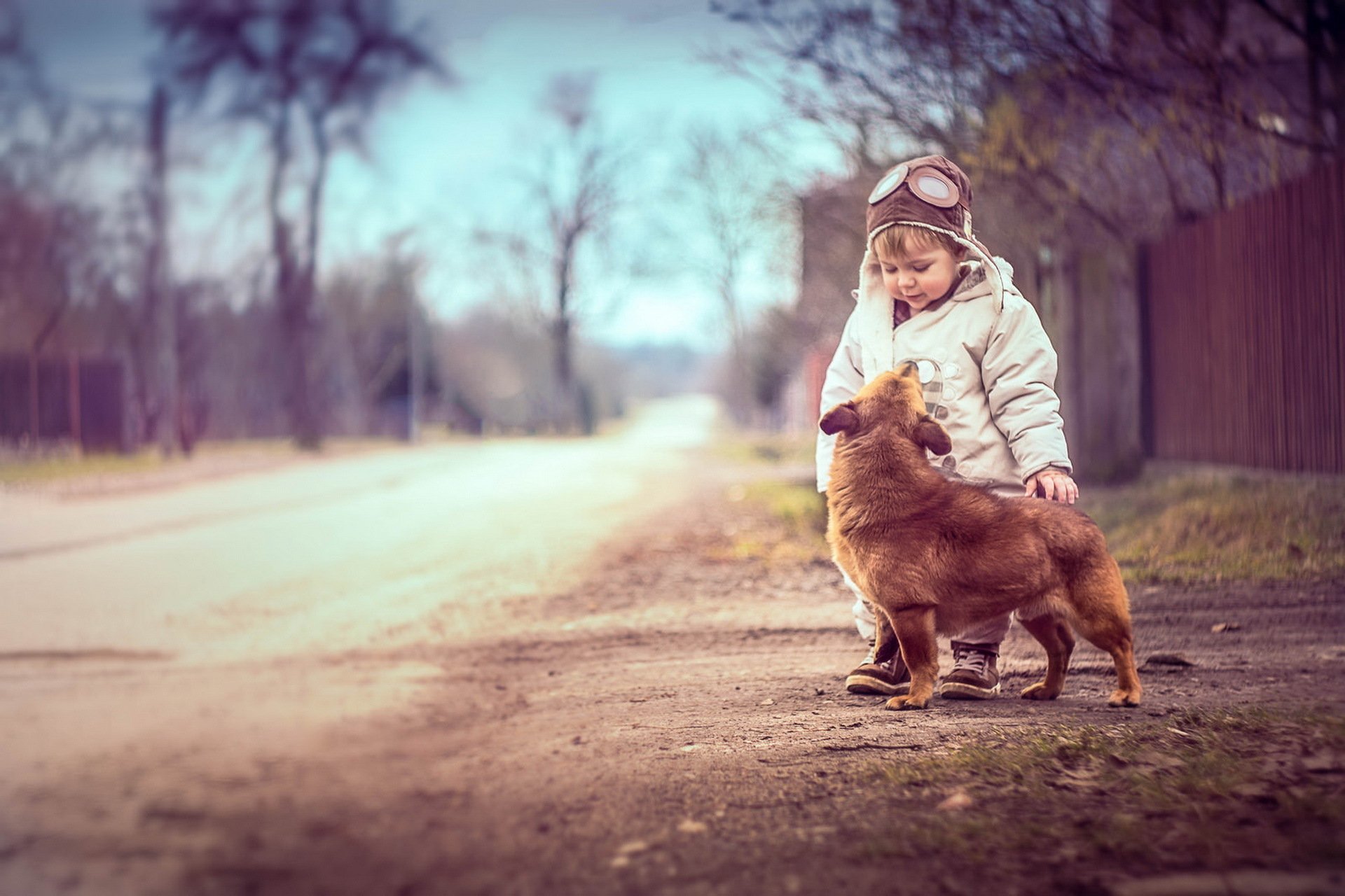 niño perro amigos