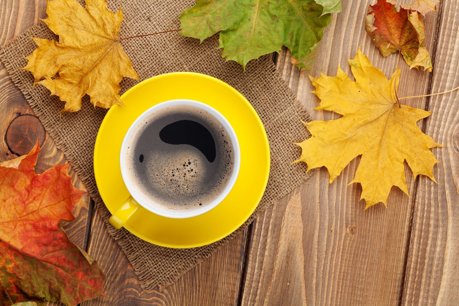 autumn fall leaves maple cup coffee autumn leave