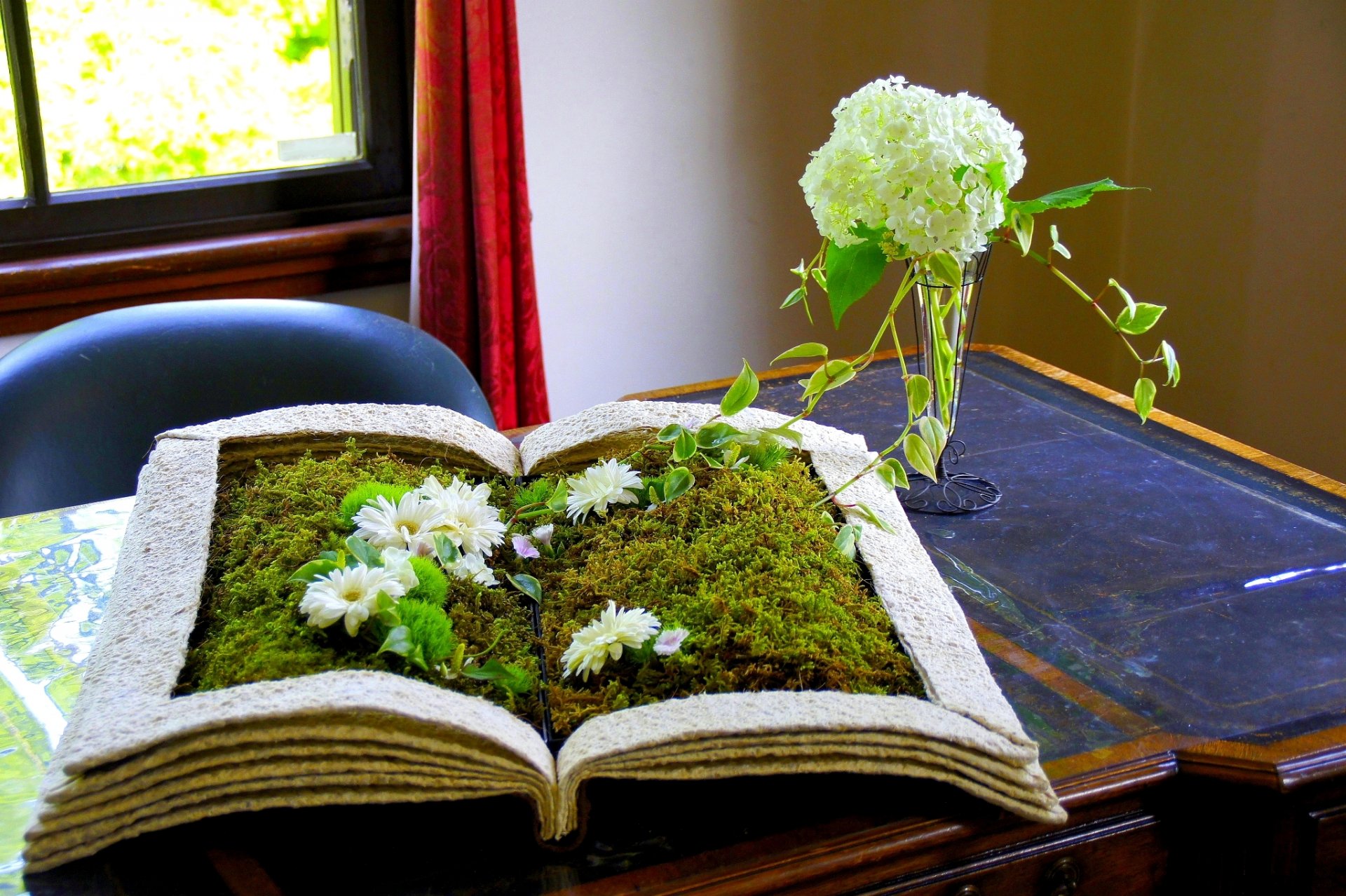 book flower plants grass table