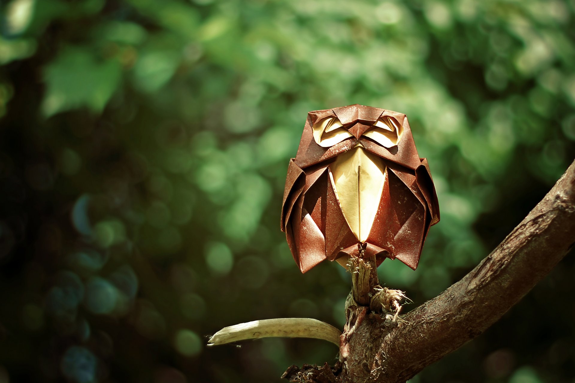 origami sowa oddział las gałąź