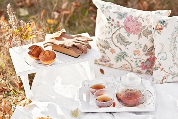 Picknick im Herbst auf der Wiese zwischen Blättern und Gras