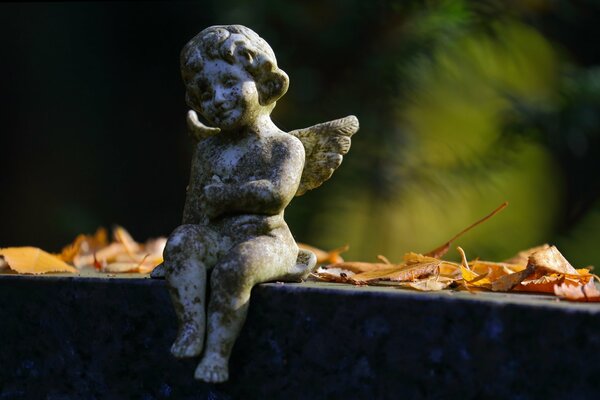 Scultura di angelo tra le foglie d autunno