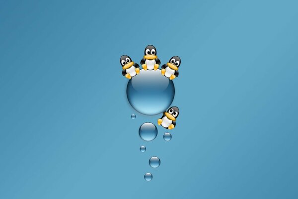 Drei kleine Pinguine sitzen auf einem Wasserball