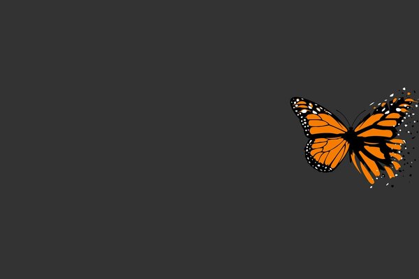 A picture of a crumbling butterfly on a gray background