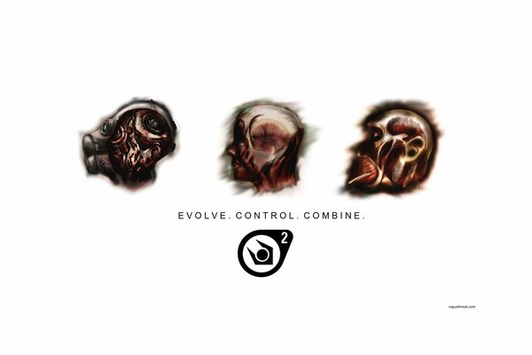 Three heads from the game of evolution