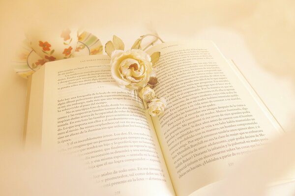 Livre avec des fleurs blanches sur fond blanc