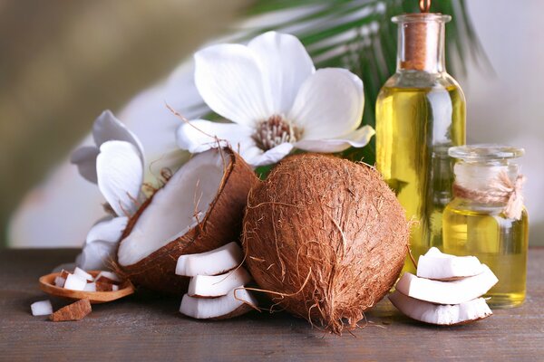 Coconuts, white flowers and aromatic oil on the background of a palm leaf