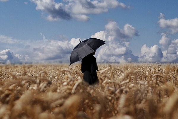 Sur le champ de blé d un homme avec un parapluie noir