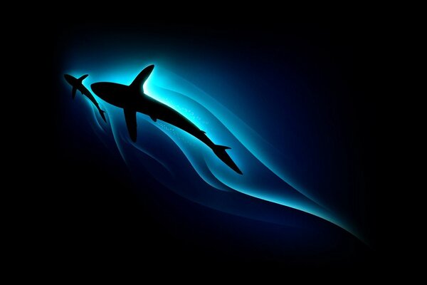 Minimalistic silhouette of a blue shark